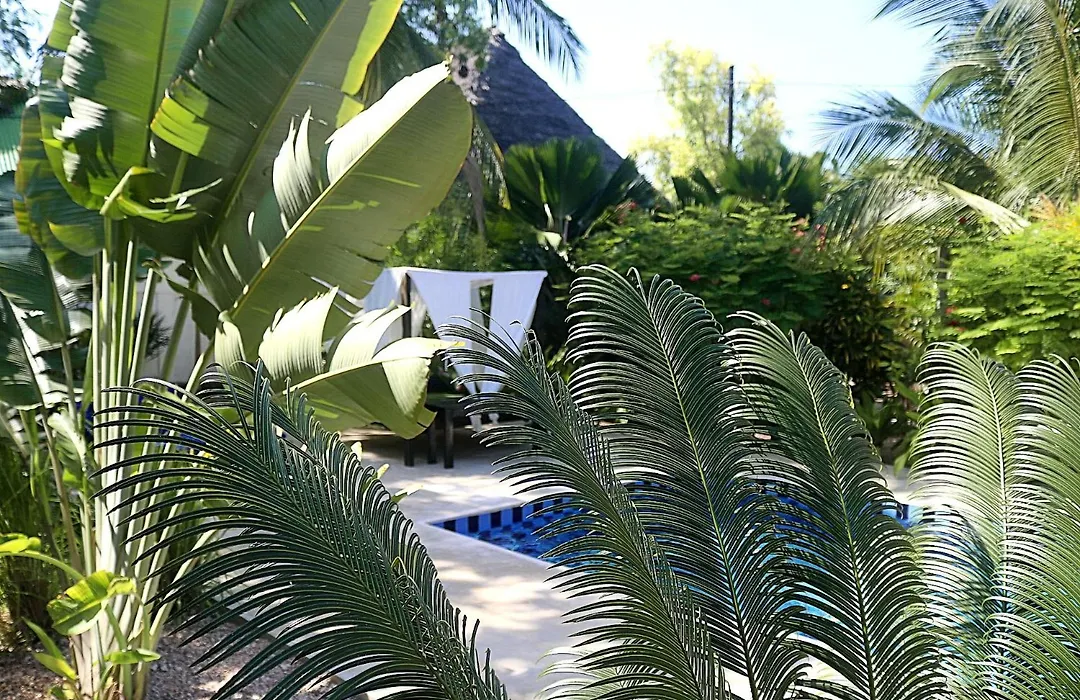 Aurora Boutique Hotel Jambiani-1